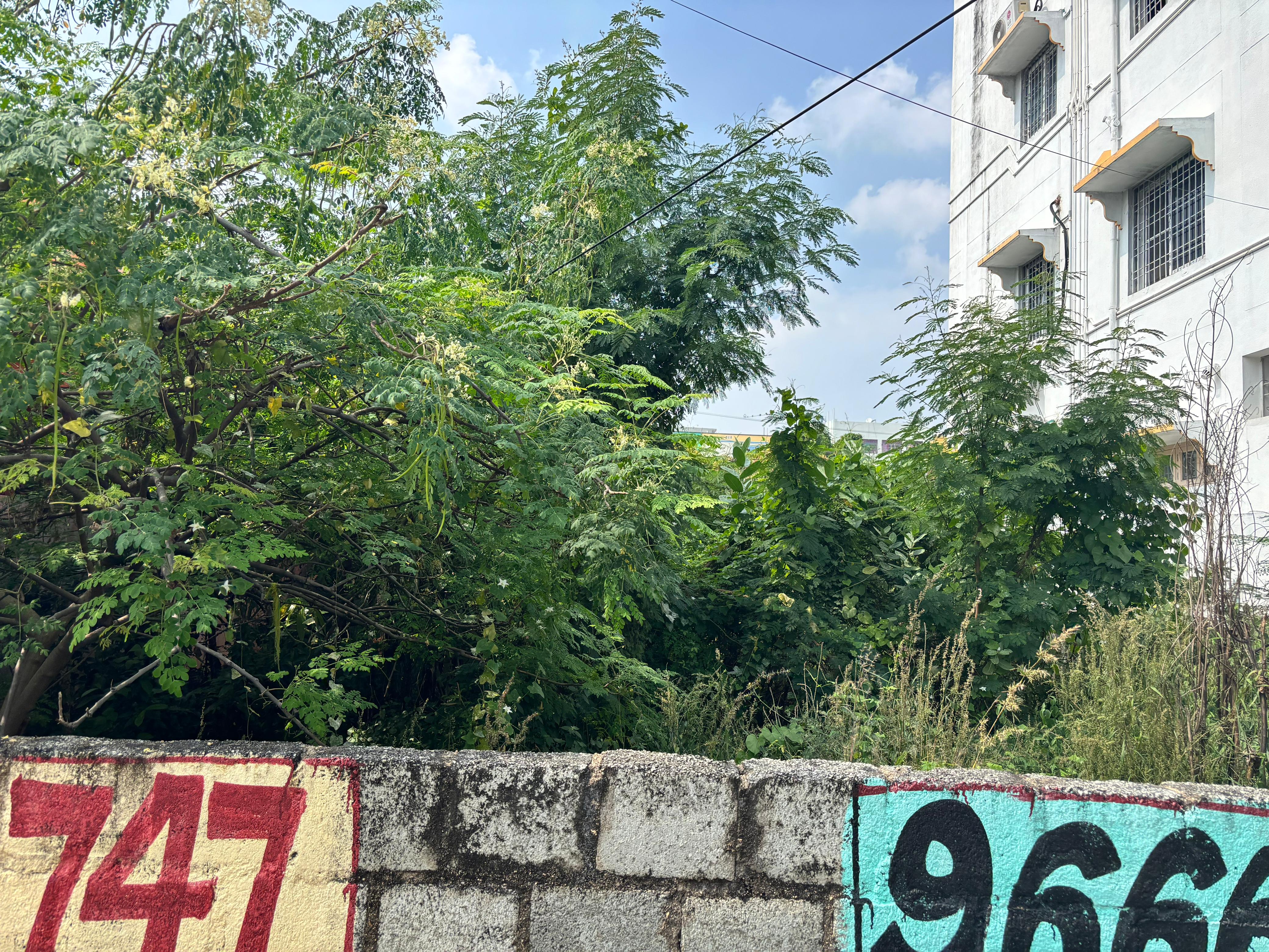 Custom Construction Site 1